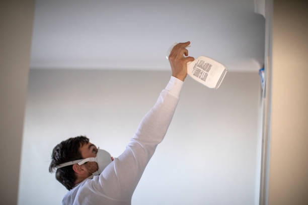 Best Mold Removal Process  in Stockbridge, MI